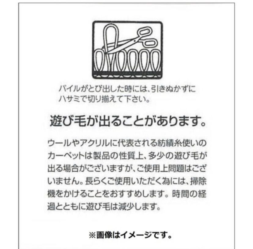 匿名配送】ポケモンセンター ポケモン メタモン スミノエマット マット