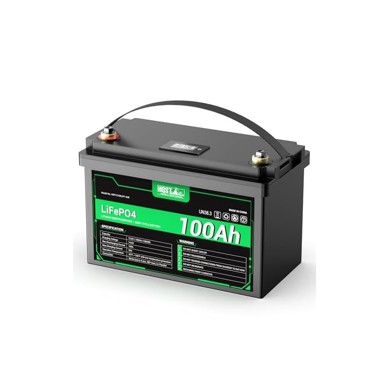 HQST 12V 100Ah LiFePO4リン酸鉄リチウムイオンバッテリー 低温 高温保護付き BMS保護 リチウムバッテリー RV 船 キャンプ場 釣り ソーラー蓄電などに活用 直列 並列 モニター付き