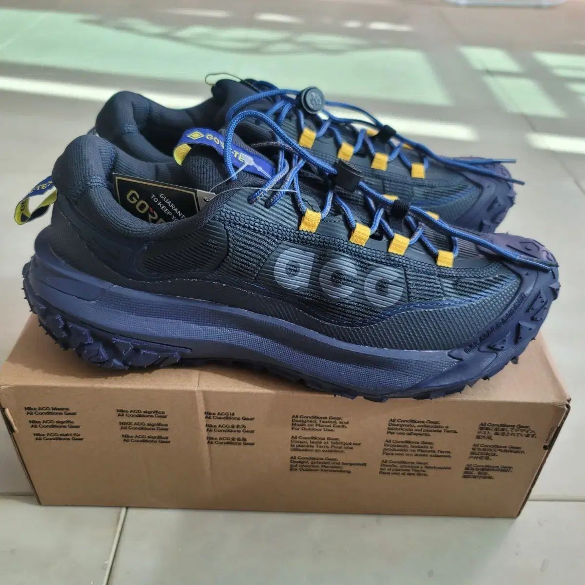 ナイキ NIKE ACG マウンテンマウンテン フライ フライ 2 ロー ゴアテックス GORE-TEX 280