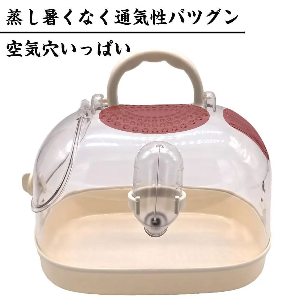 透明 キンクマ