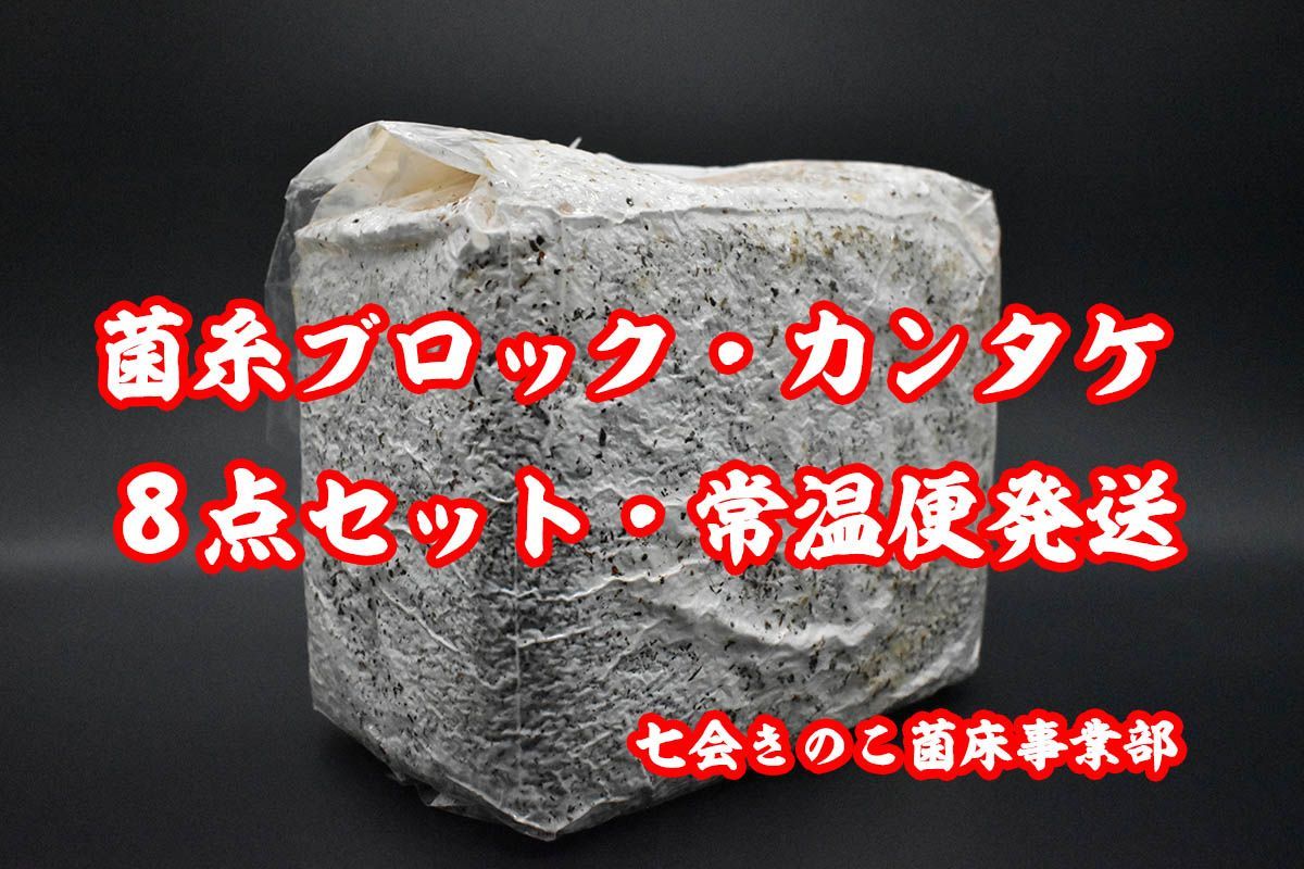 カンタケ菌糸ブロック 8点セット 常温便発送