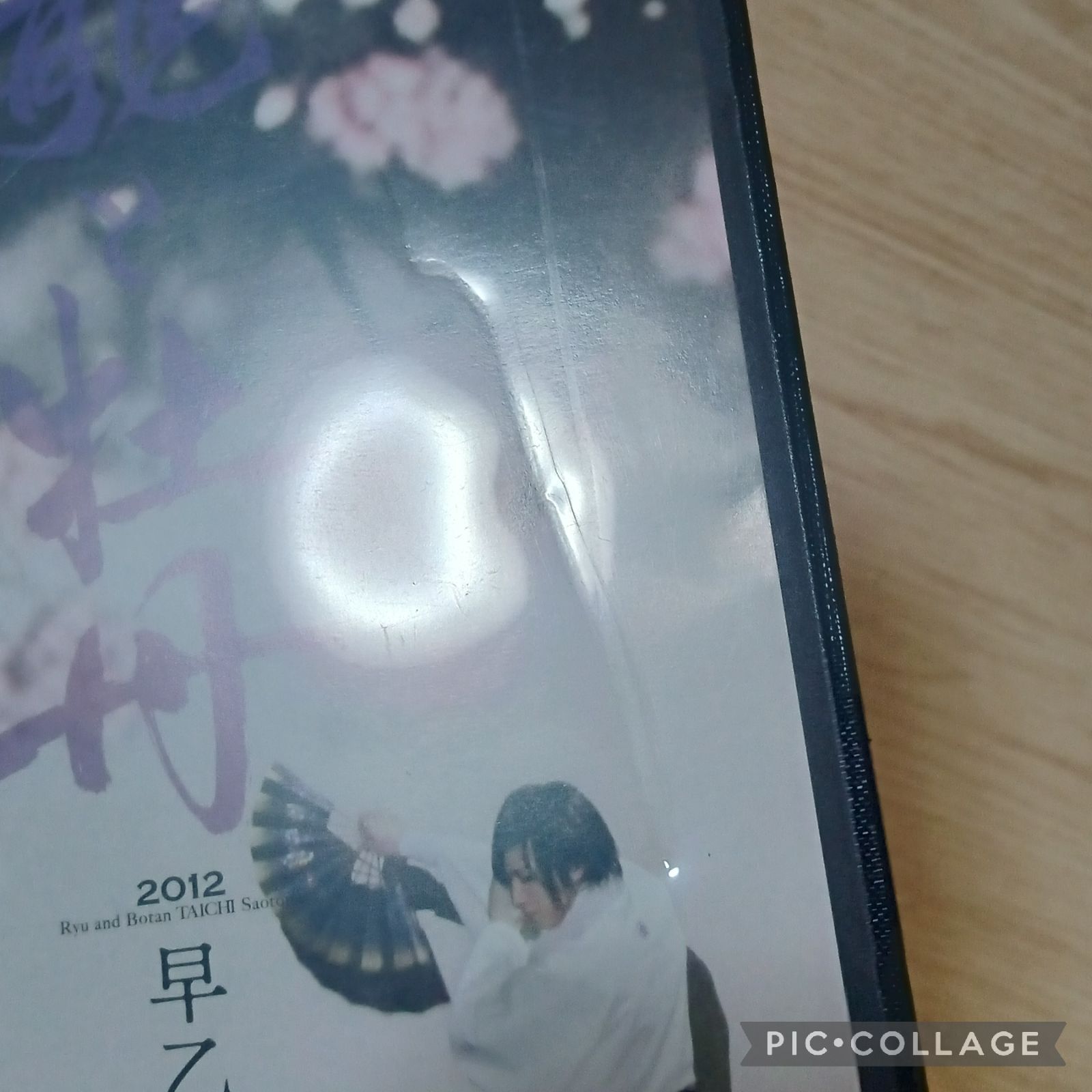 龍と牡丹 2012 早乙女太一 劇場限定発売