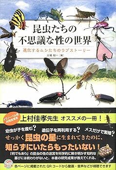 【中古】(非常に良い)昆虫たちの不思議な性の世界 (大場裕一) 昆虫たちの不思議な性の世界 非常に良い)昆虫たちの不思議な性の世界 (大場裕一) 通販 大場裕一 子供の科学』創刊100周年メッセージ☆大場裕一さん「親子3代