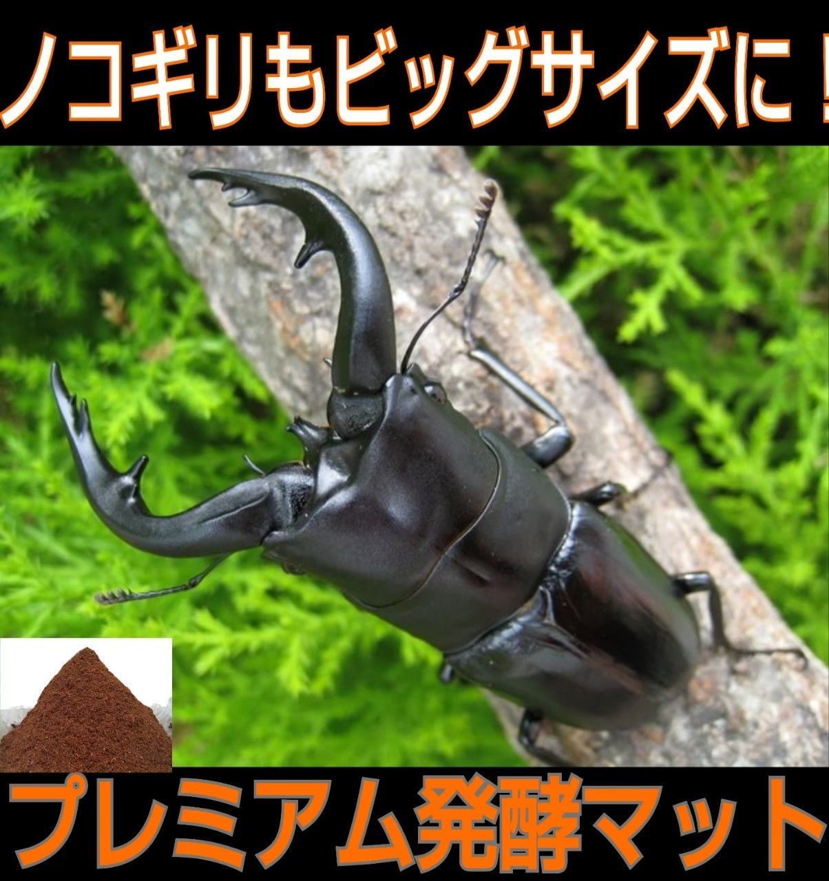 ヘラクレスに抜群！進化した！プレミアム3次発酵カブトマット【200L】特殊アミノ酸3倍配合☆トレハロース、キトサン、ローヤルゼリー強化！ - ペット用品