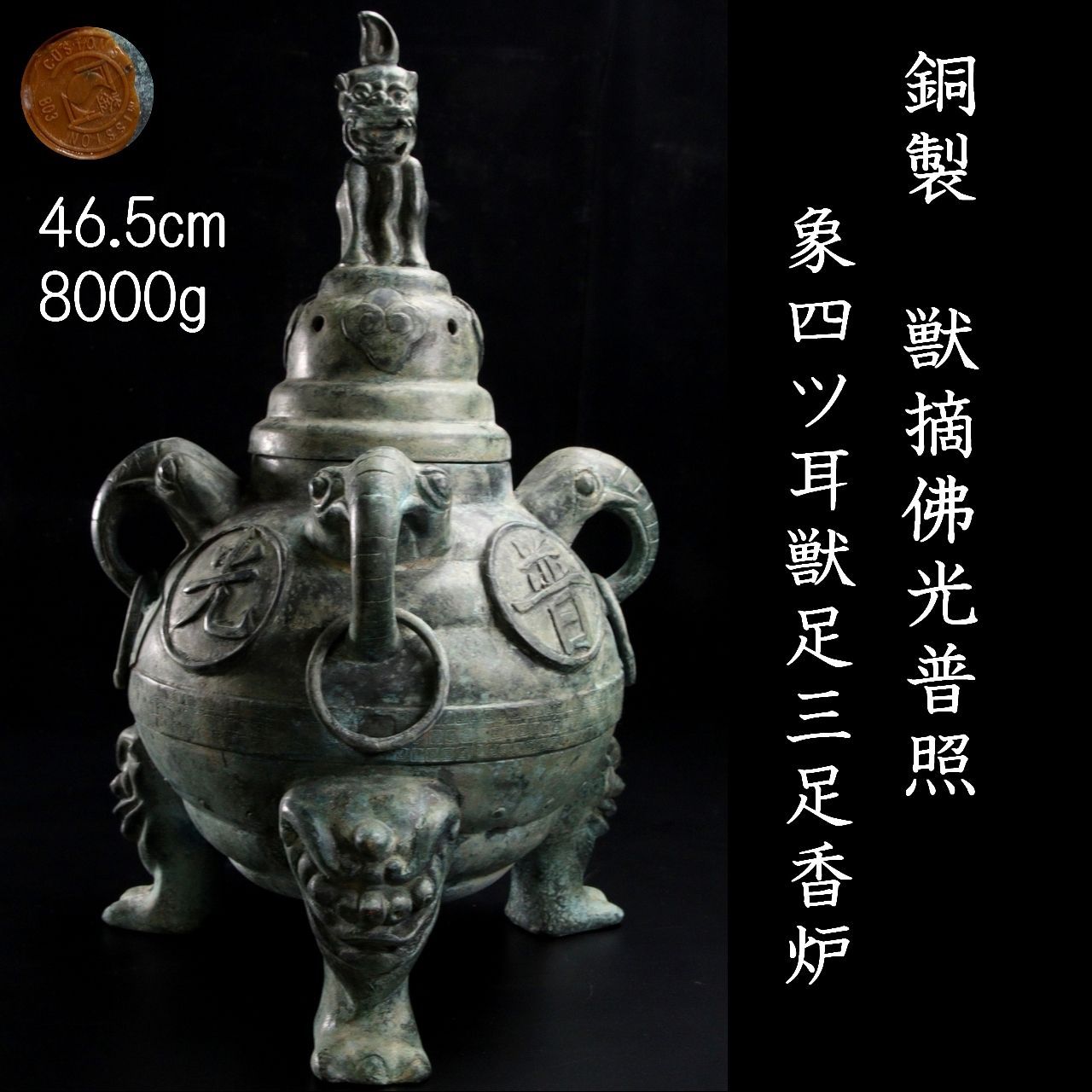 フッキソウ！高さ0.1〜0.15！35本ポット出し 送料無料]フッキソウ3号