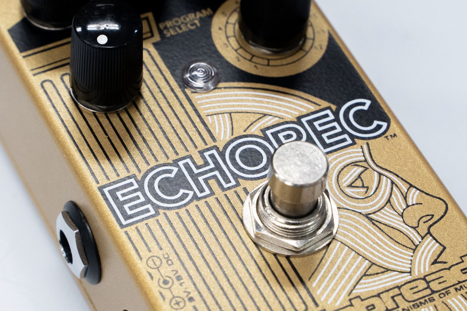 新品 未使用 Catalinbread ECHOREC - ギター