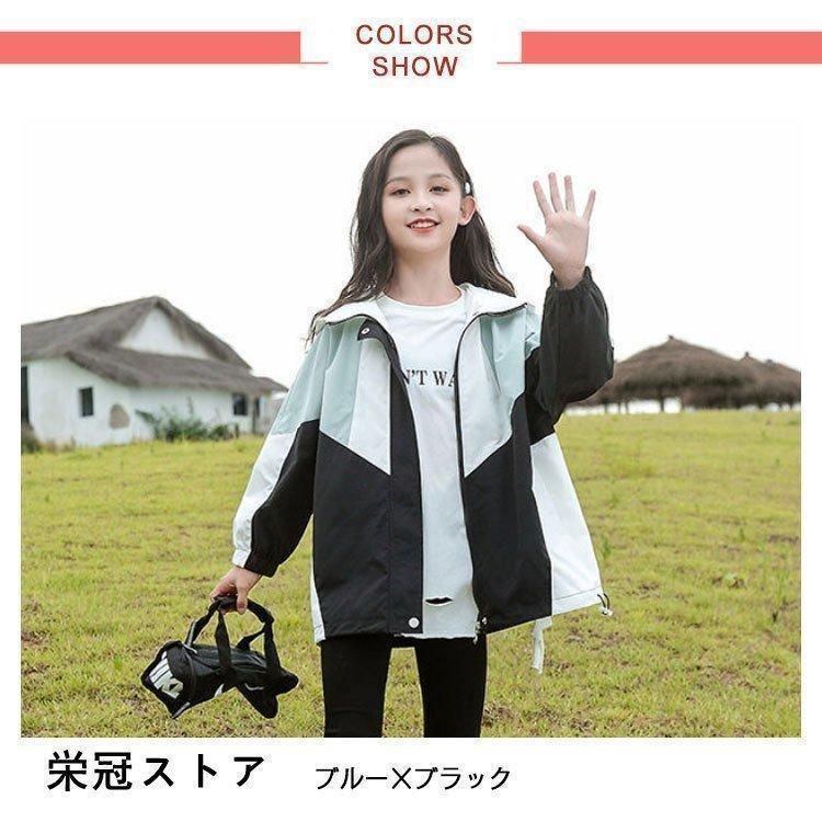 L.L.Bean ポート・アンド・トート (Large・Dark Green) 新品純正】BROMPTON Transit Transport Bag 黒 Transit