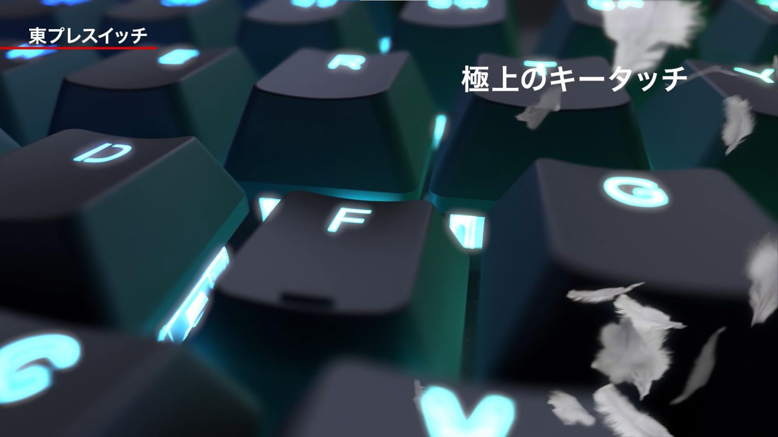 45ｇ TKLサイズ