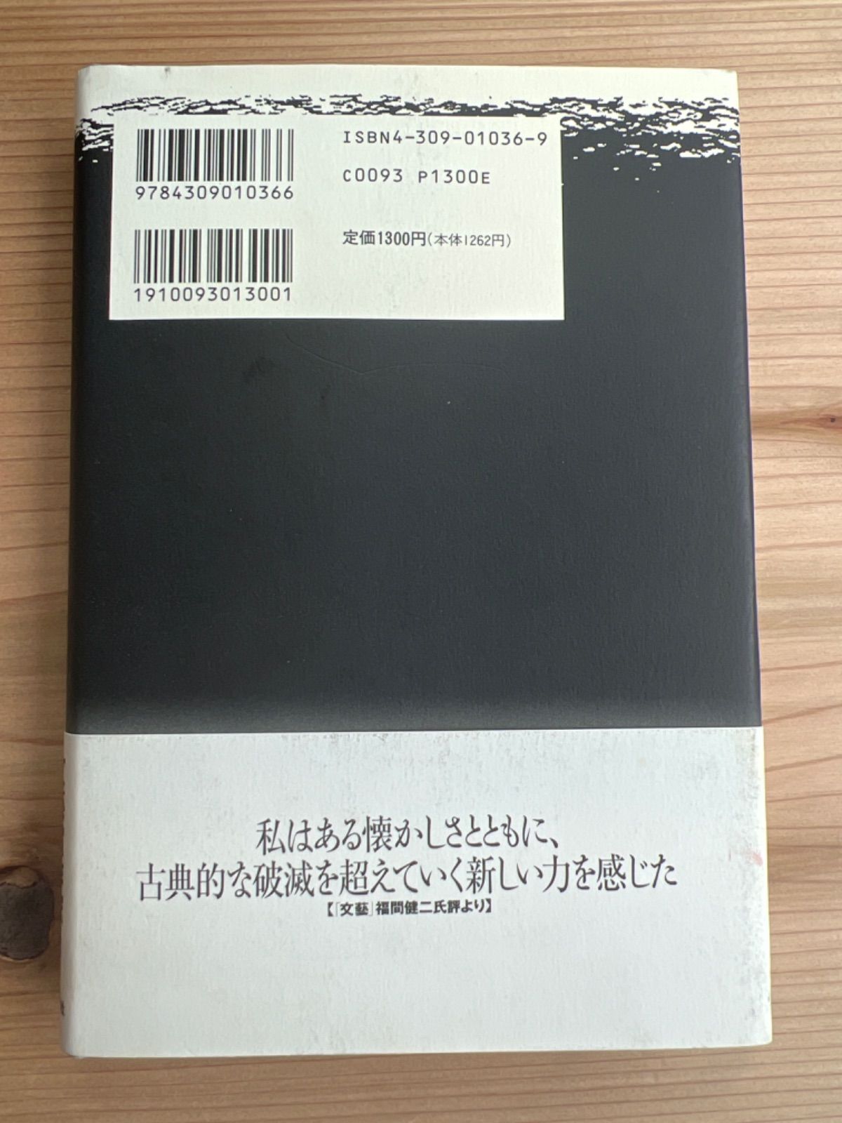 月の裏まで走っていけた 雨森零