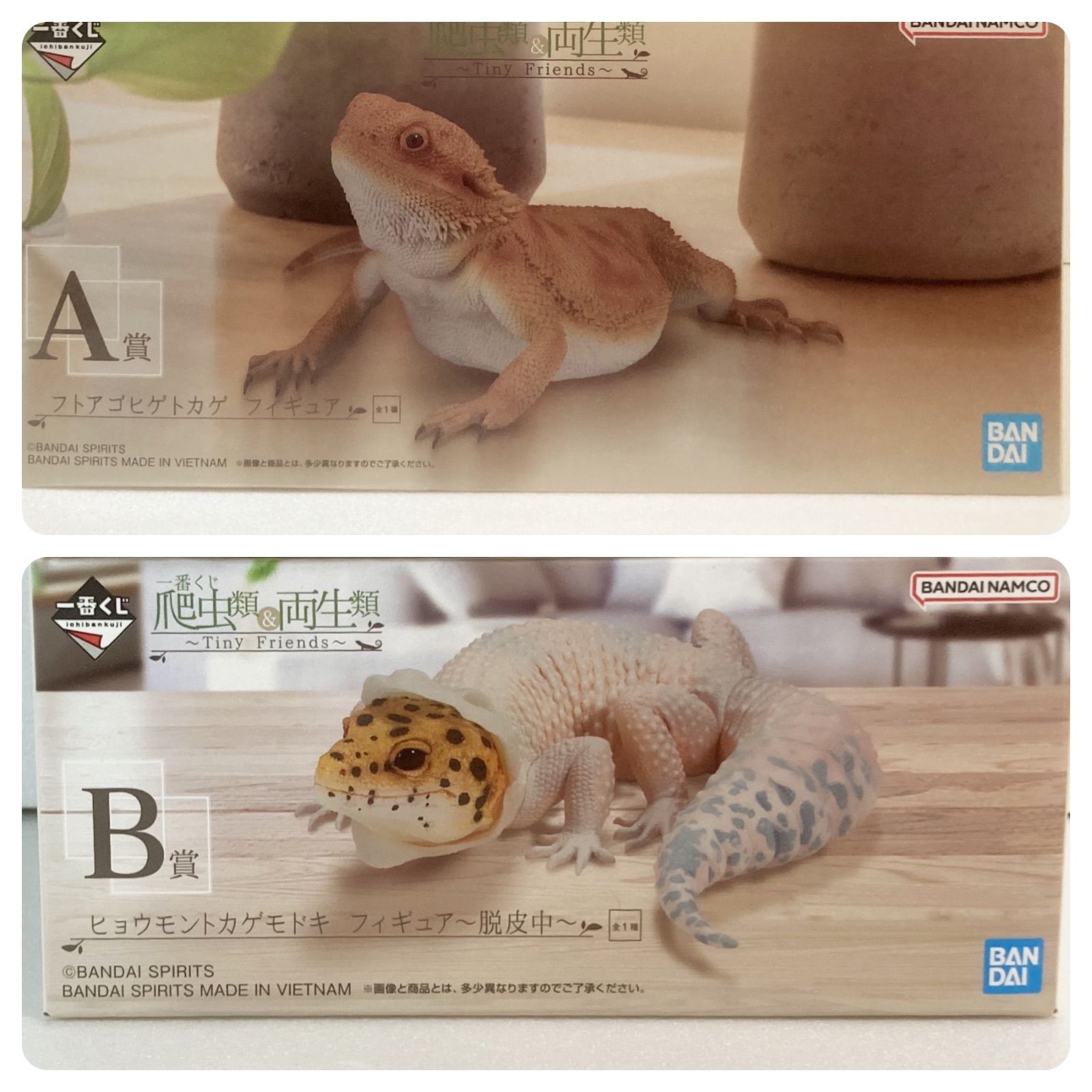 一番くじ 爬虫類＆両生類」待望の第2弾が発売決定！A賞