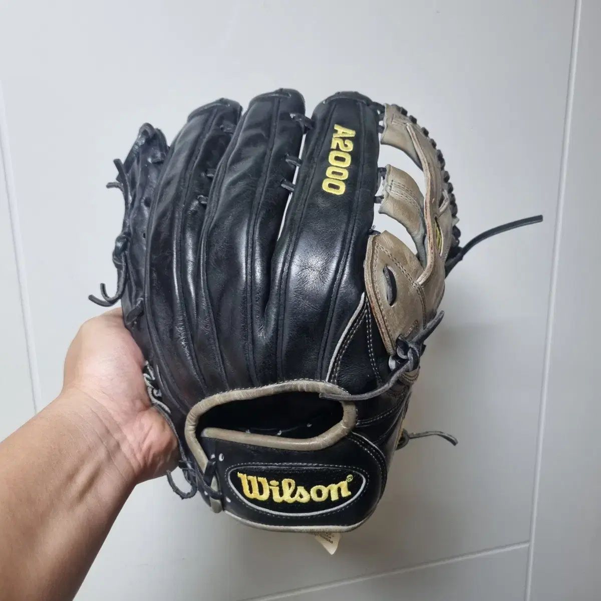 Wilson