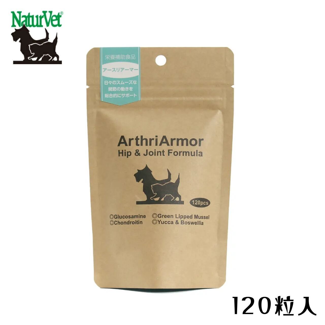 藤田西洋 馬と馬車の風景 センジェルメン ドゥ プレ教会