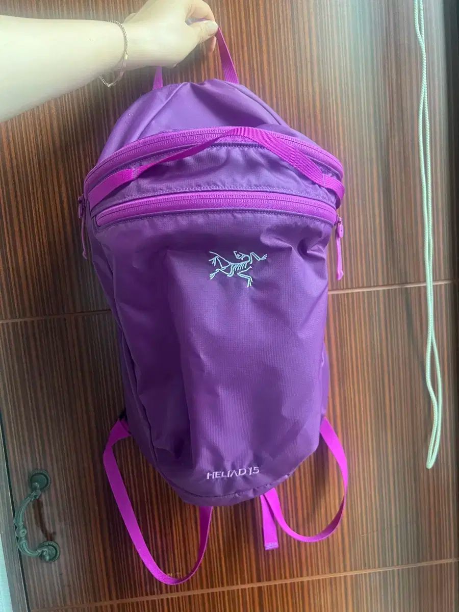 ARC TERYX アークテリクス ヒリアド 15 グルービー