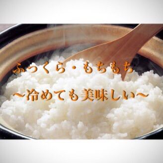 令和4年度産✳︎嬉しい野菜おまけ付♪千葉県産こしひかり 玄米30キロ