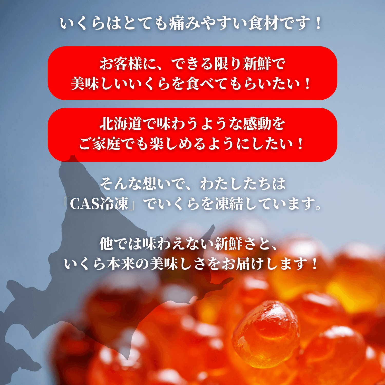 最高級秋鮭イクラ★北海道産 醤油漬け大粒いくら500g 天然 お歳暮、おせちに