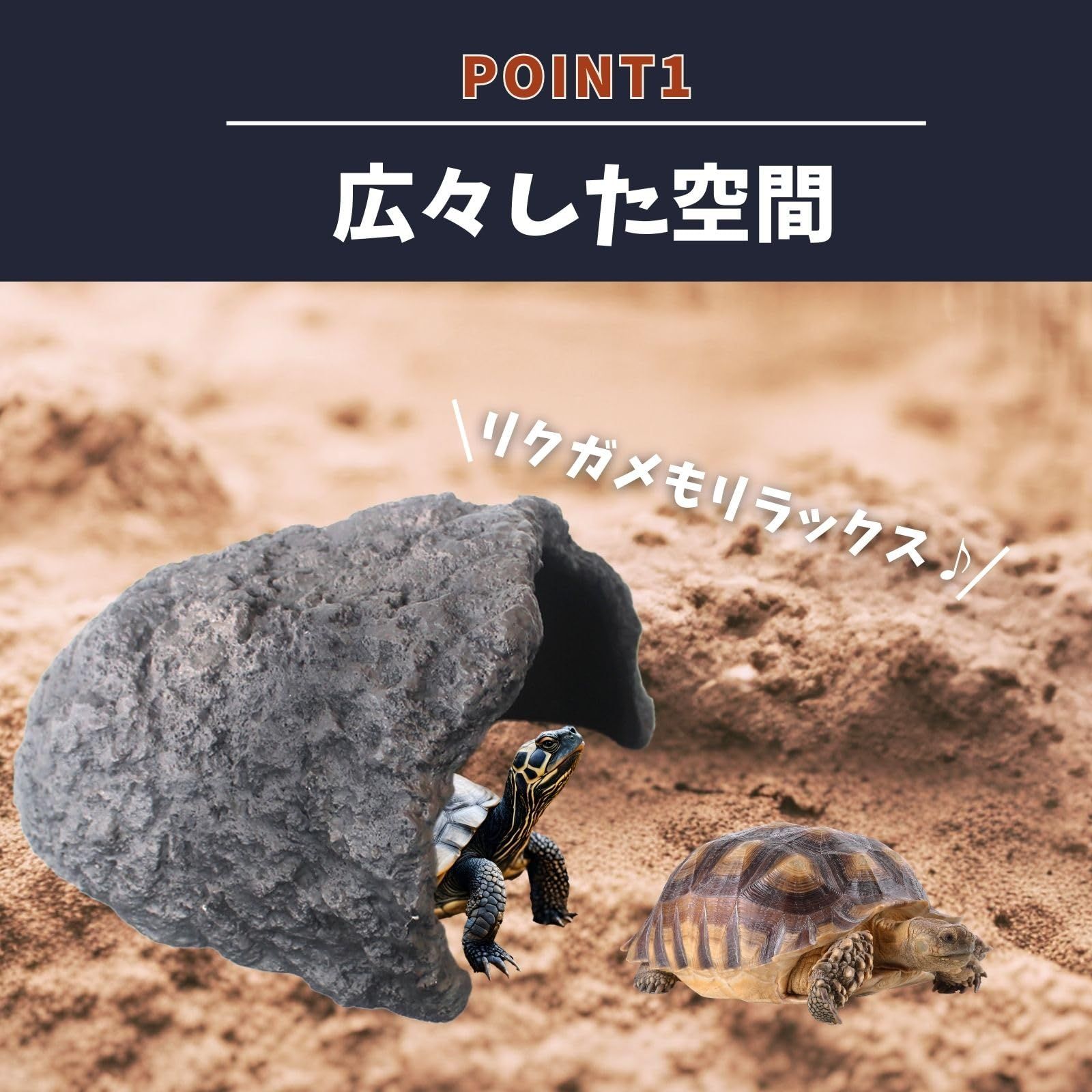 岩