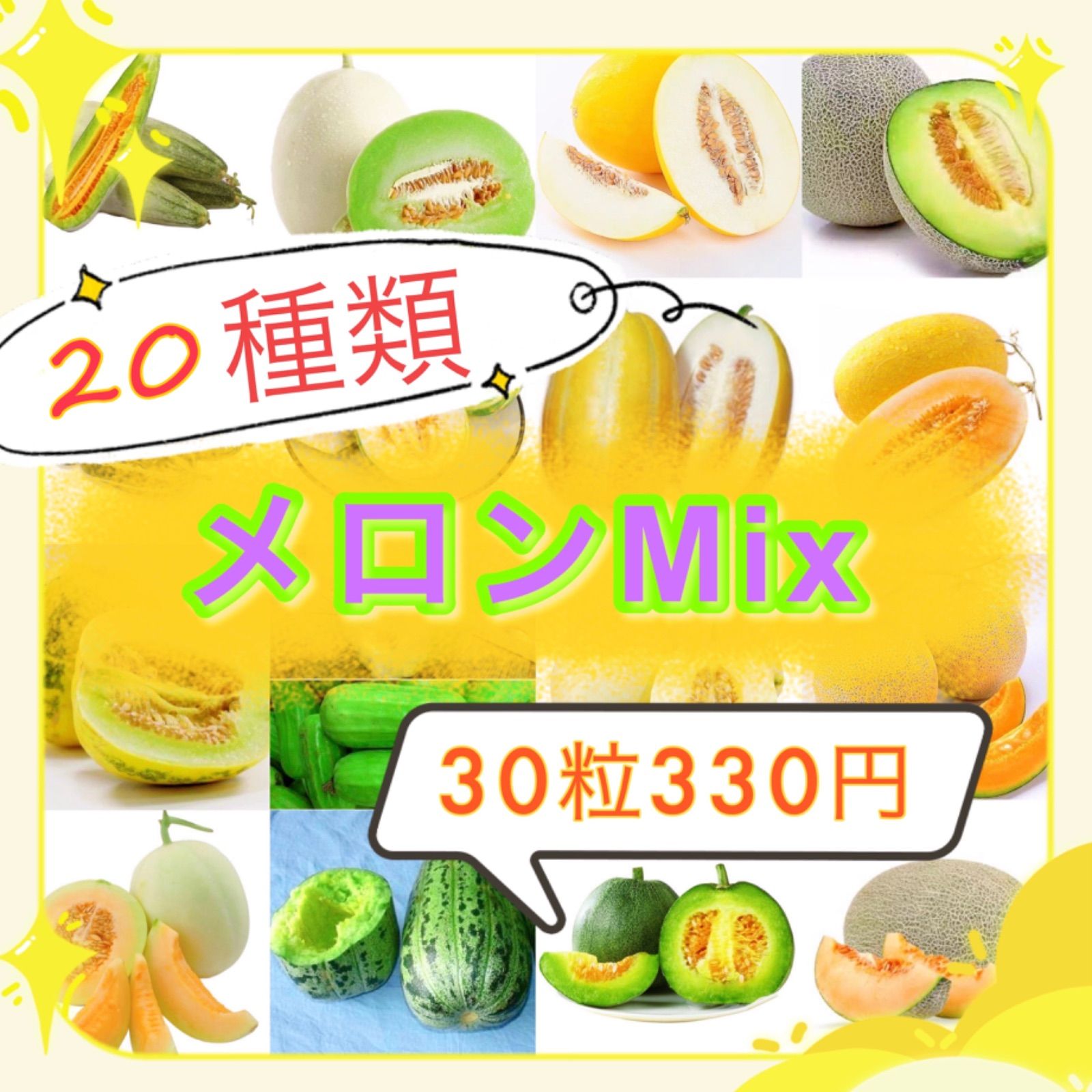 ☆20種メロン☆ Mix種子30粒330円 〜世界中の美味しいメロンの種大集合