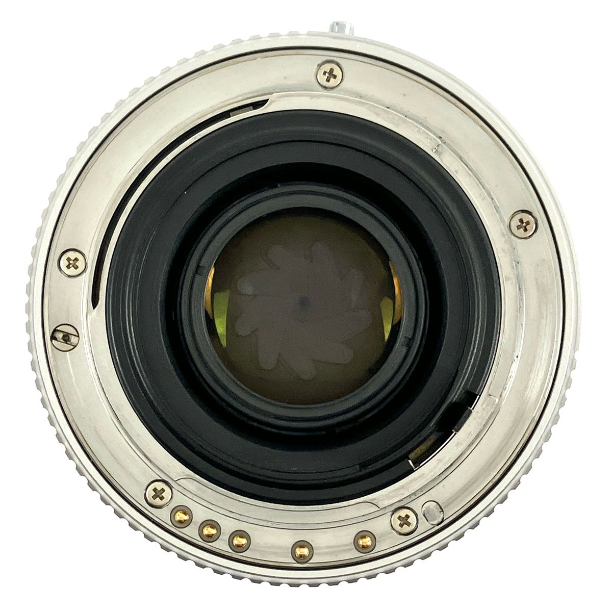 真鍮製シャンク（法螺貝） 印章 法具 ほら貝・法螺貝・ホラガイ