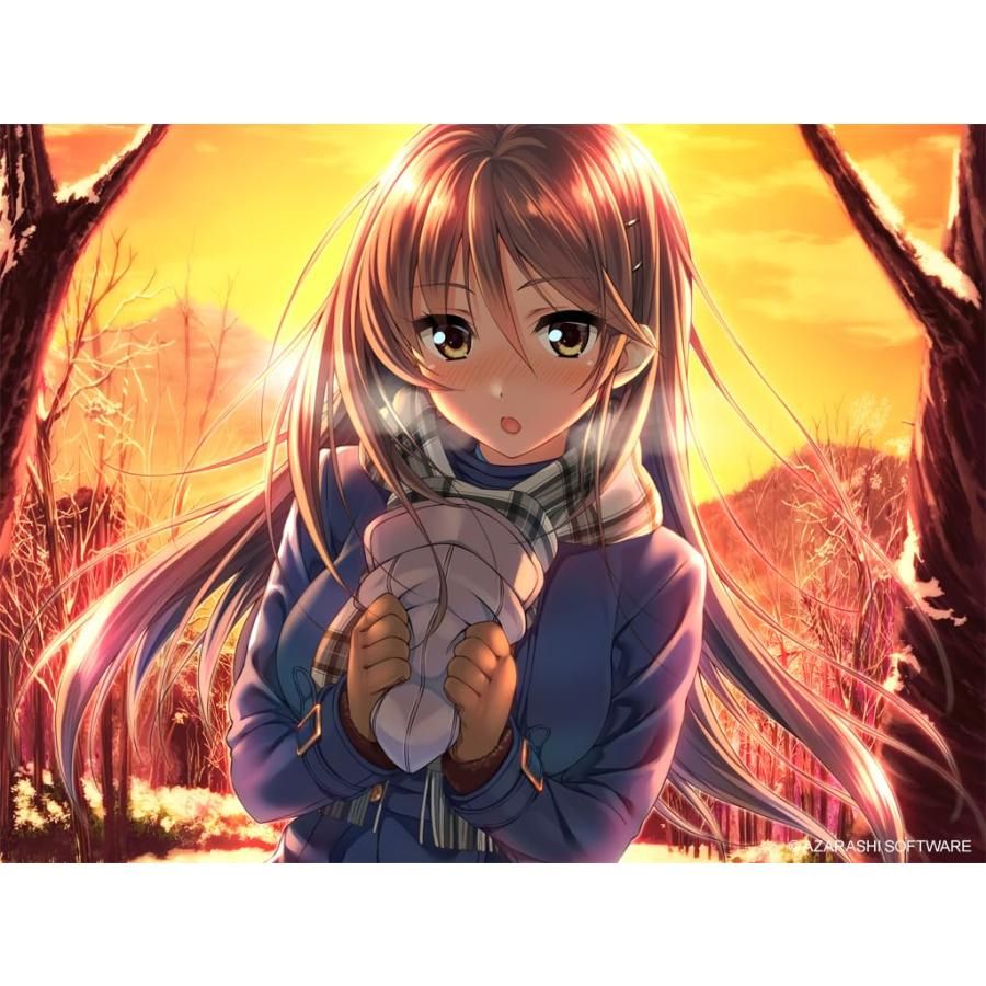 アマカノ&アマカノ ~Second Season~ ダブルパック -Switch 【特典