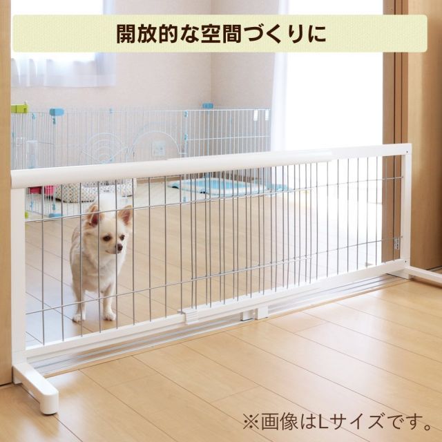 高さ50cm