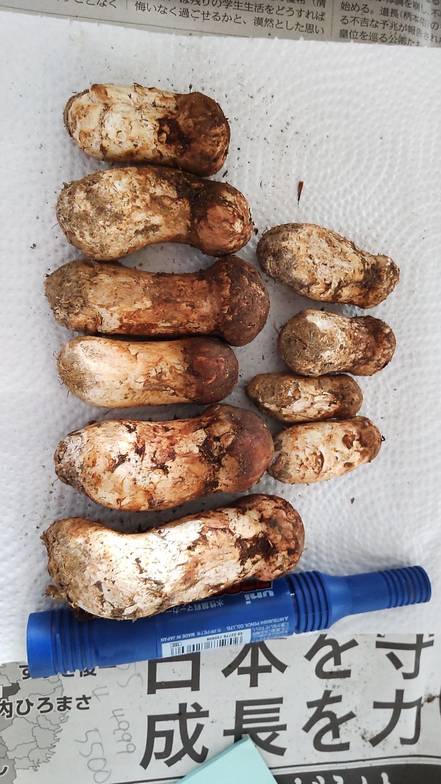 希少良好固体】Panasonic CQ-DFX983 【リモコン/取説付き】