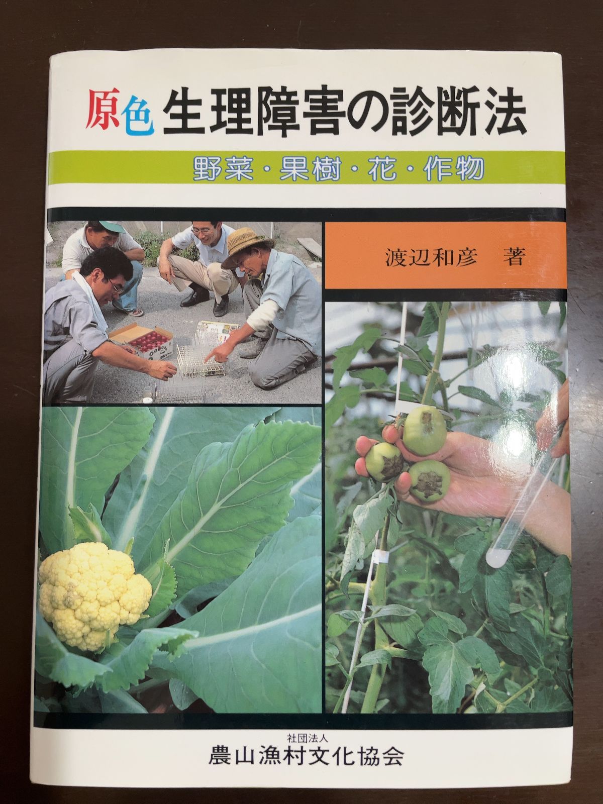▲01)【同梱不可】【希少本】山留めの挙動予測と実際/地盤工学・実務シリーズ8/編集委員会/地盤工学会/平成11年発行/土木/圧力/A △01)【同梱不可】【希少本】山留めの挙動予測と実際/地盤工学