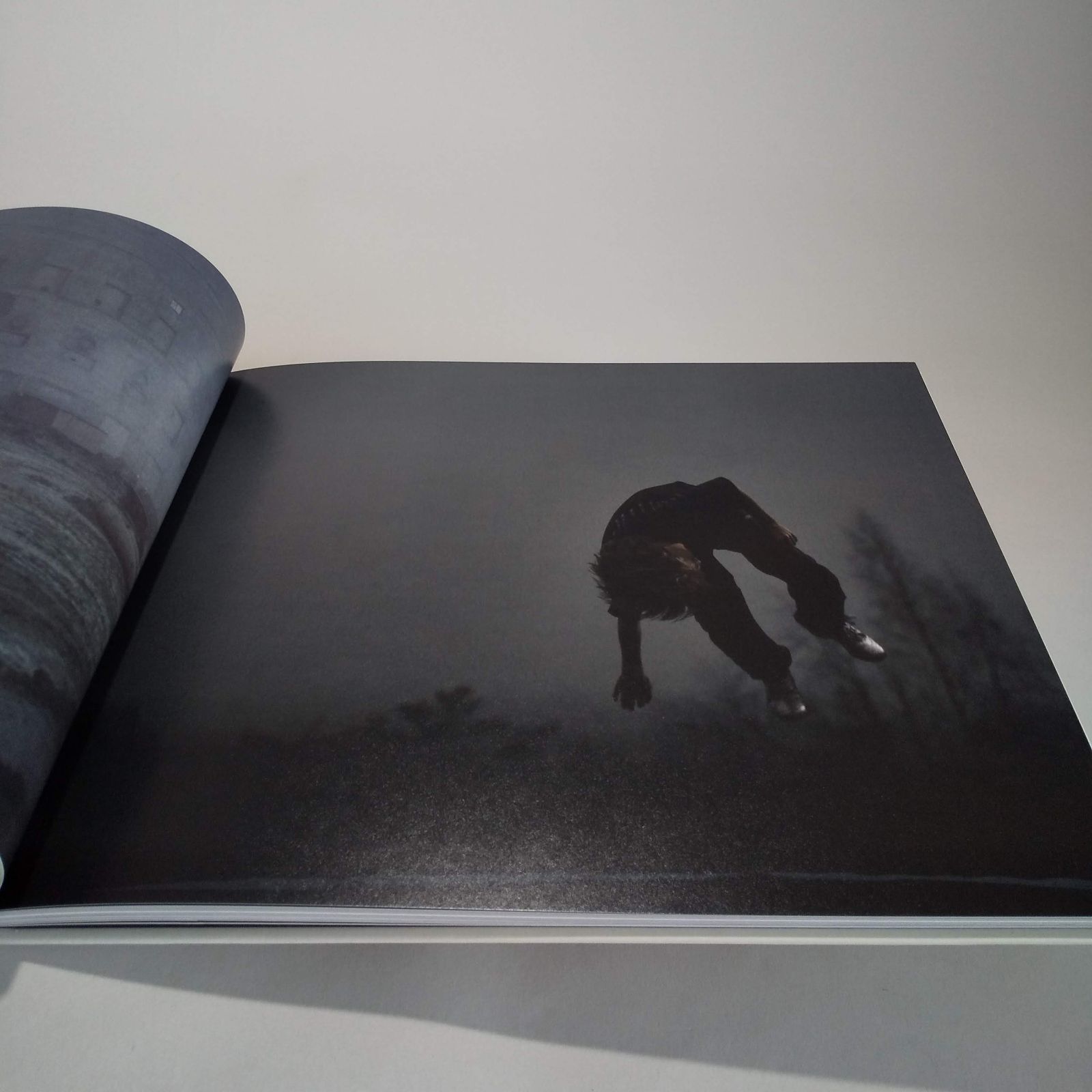 Martina Hoogland Ivanow: Far Too Close - メルカリ