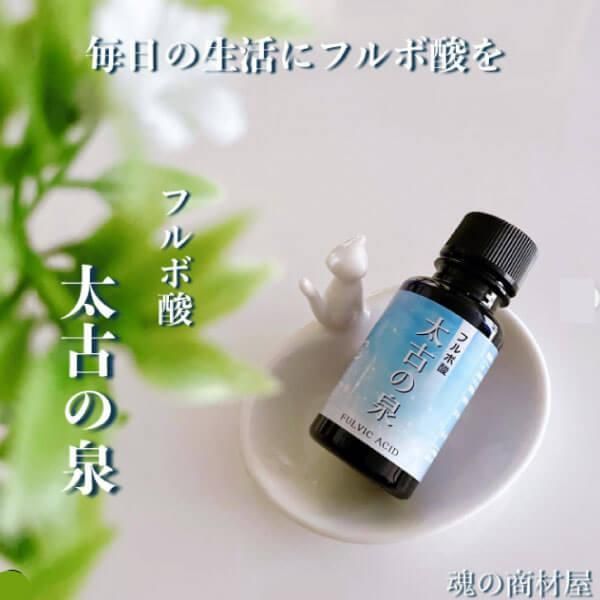腐植層ではなく樹木由来 有害金属排出