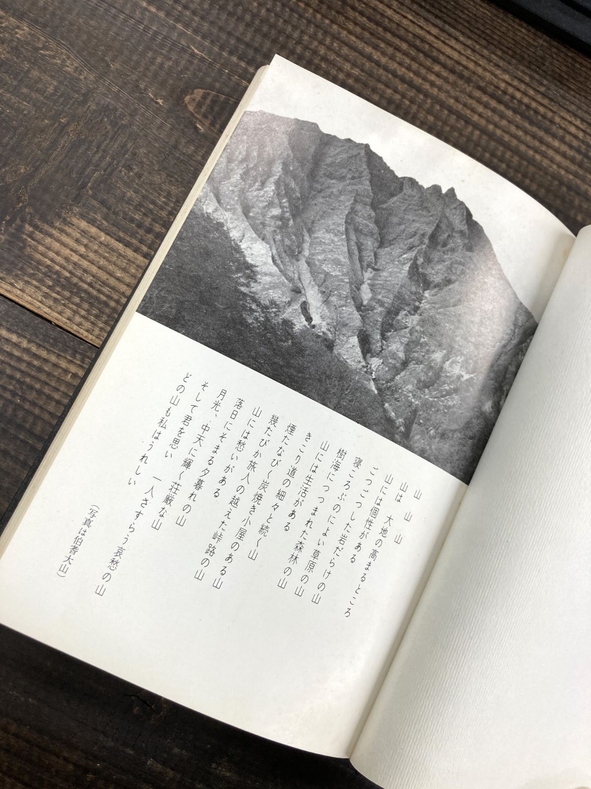 百山紀行【単行本】飯野頼治　登山