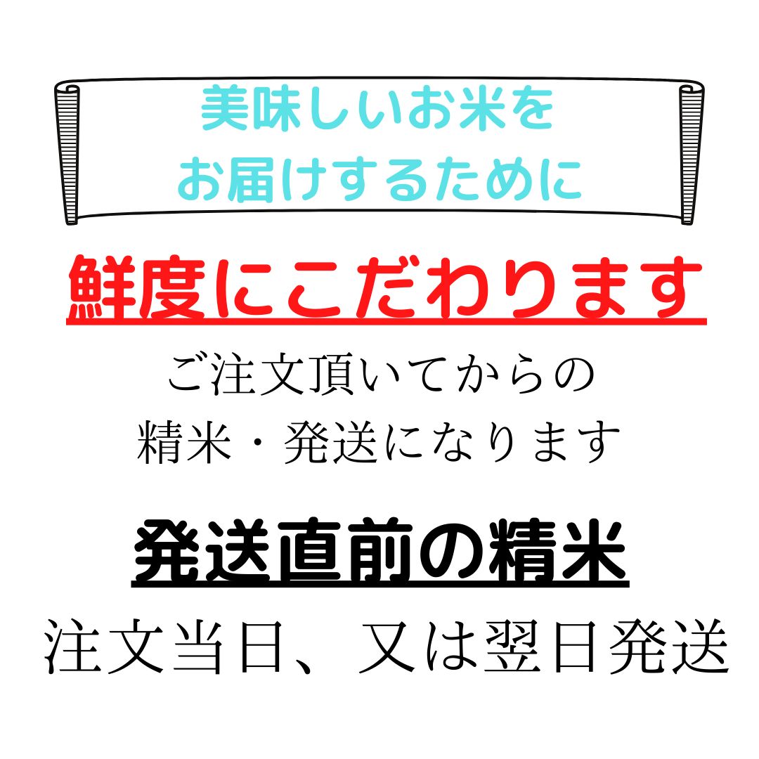 新米！特価!!【特別栽培米】 京都丹後コシヒカリ20kg（3年産） - 丹後