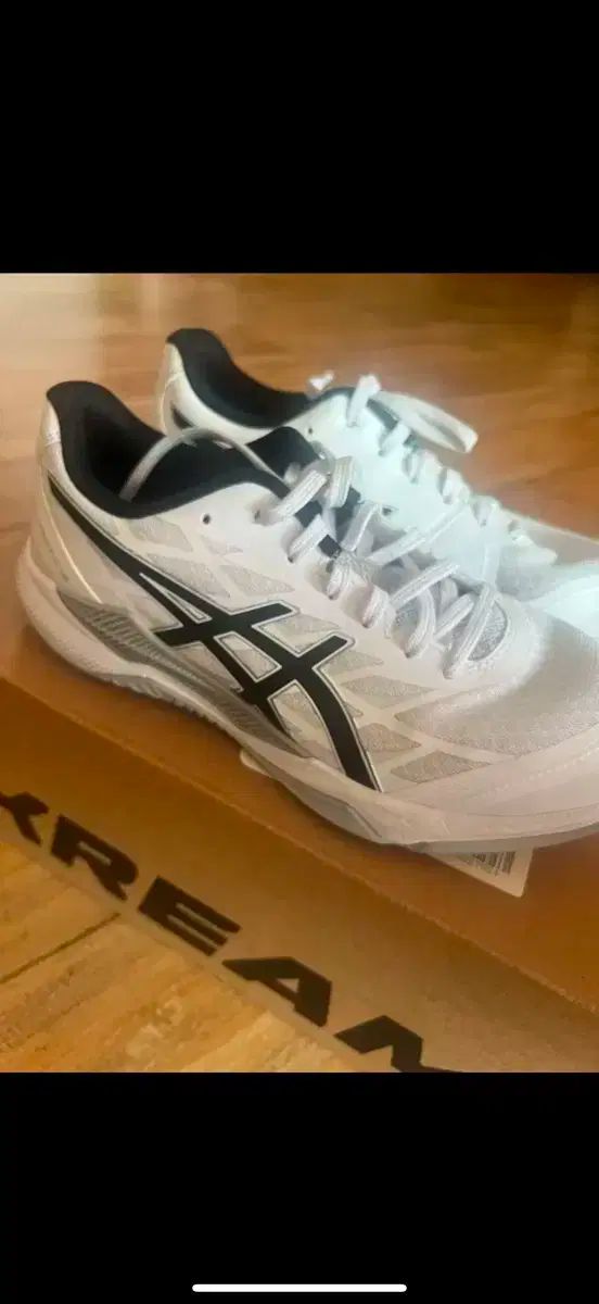 Asics アシックス ゲルタクティク 270