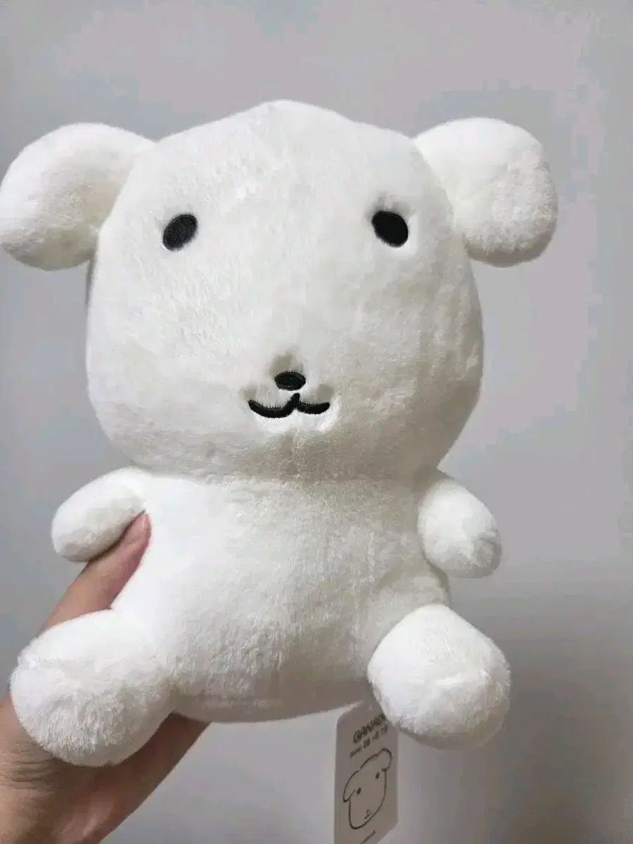  ドゥガナディ 中型 座っている 人形 その他