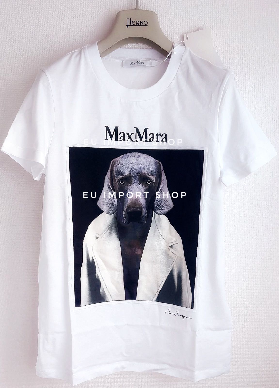 【新品未使用】MAX MARA CIPRIAピュア コットン Tシャツ Max Mara（マックスマーラ） 半袖 Tシャツ CIPRIA チプリア レディース
