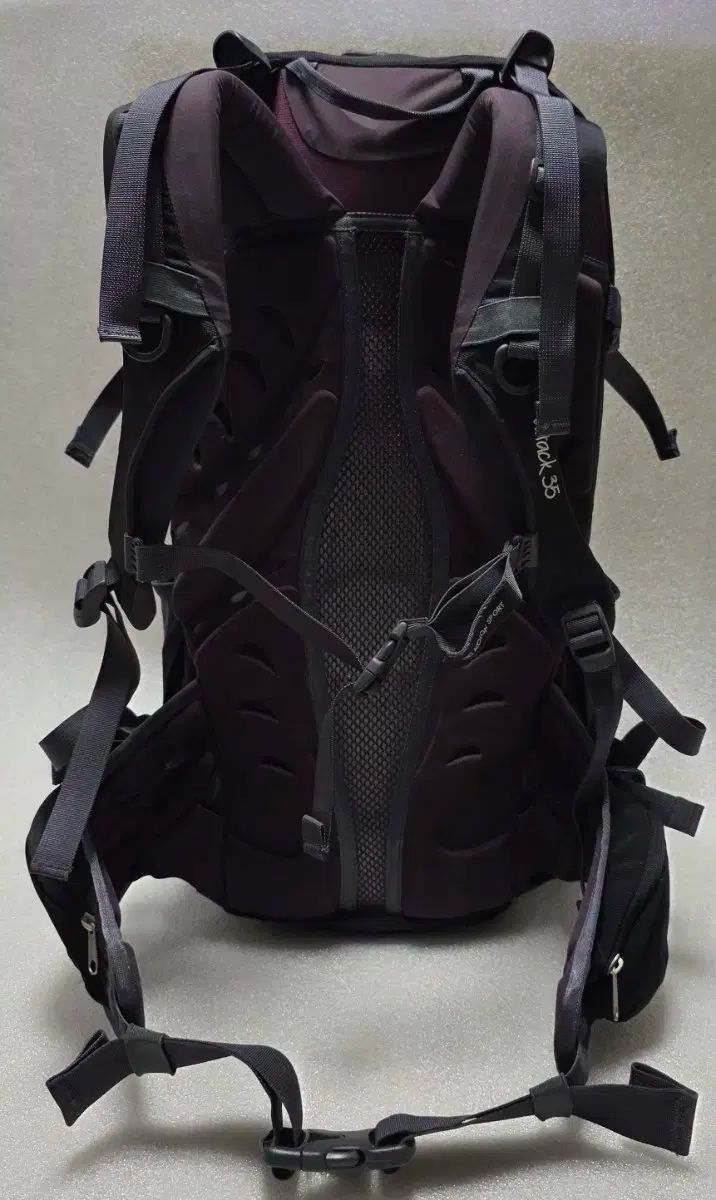 Kolon