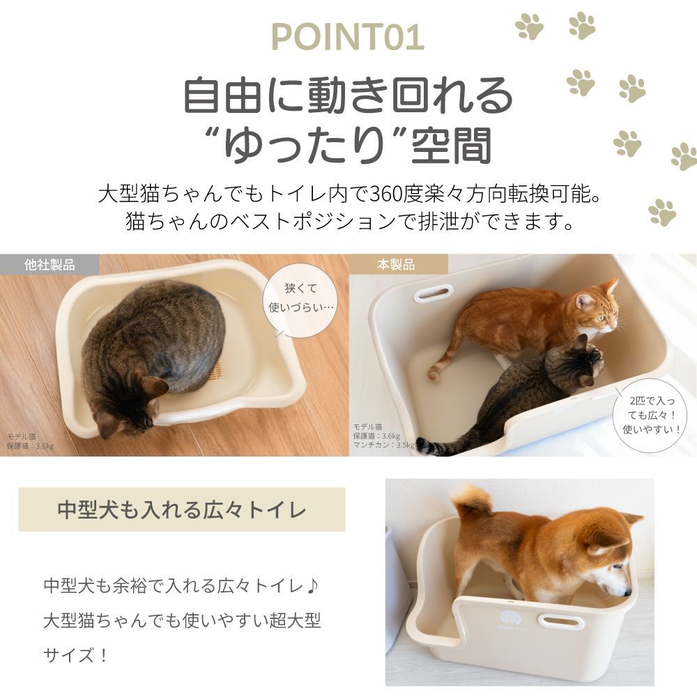 大きめ