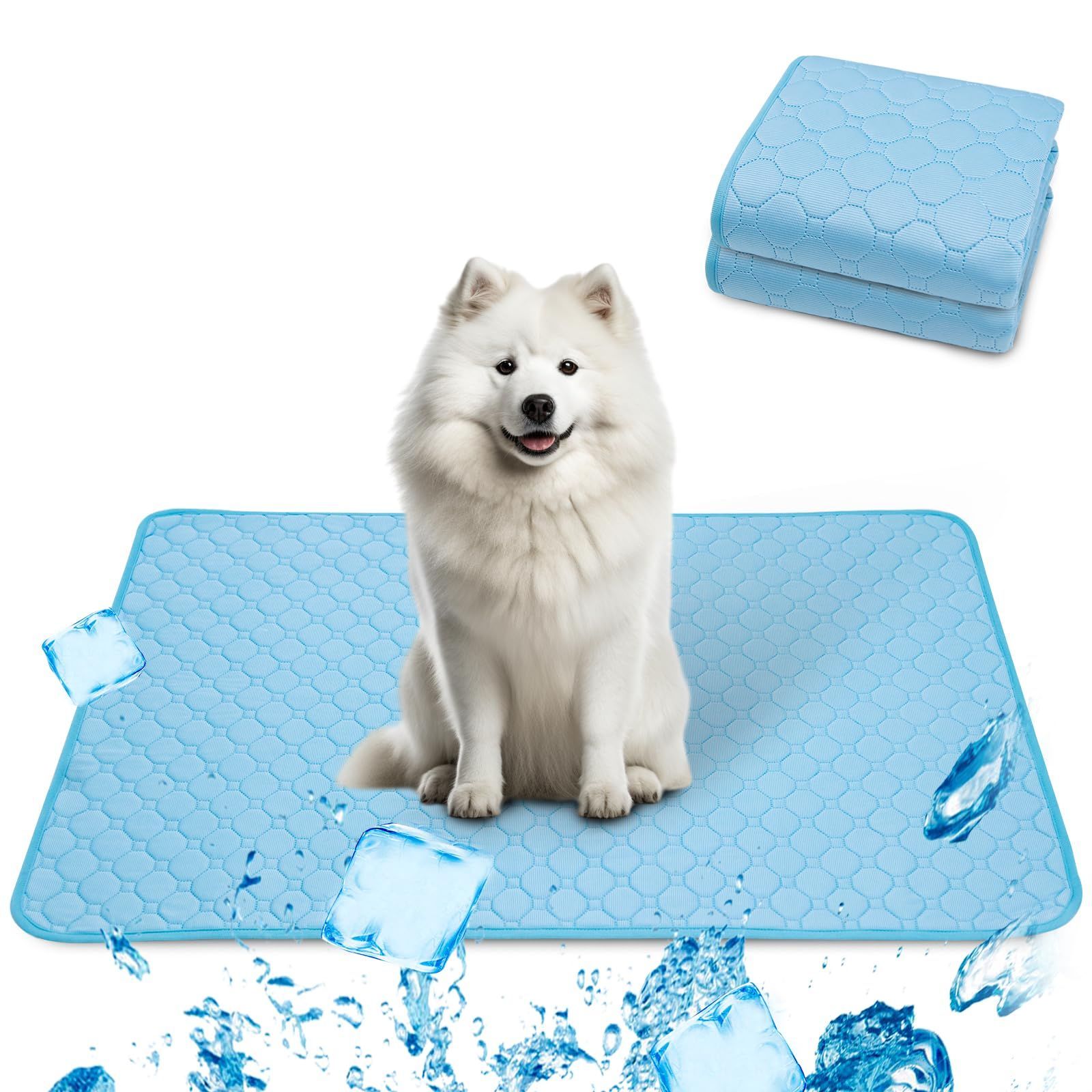 長谷川穂積 実使用直筆サイン入りグローブ