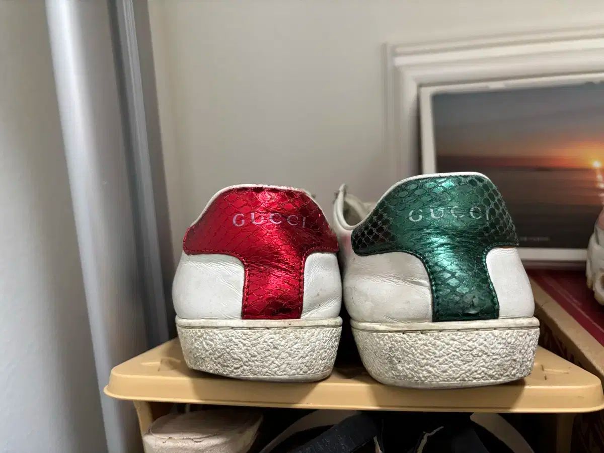 GUCCI(グッチ) はちみつ スニーカー スニーカーズ 36