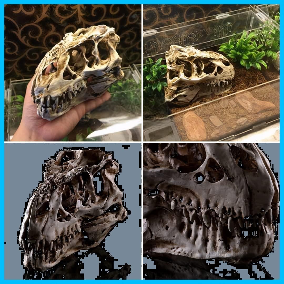 REENEW 古代生物 恐竜 化石 フィギュア 水槽 アクアリウム