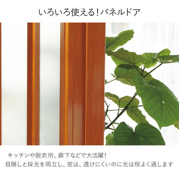 2枚組