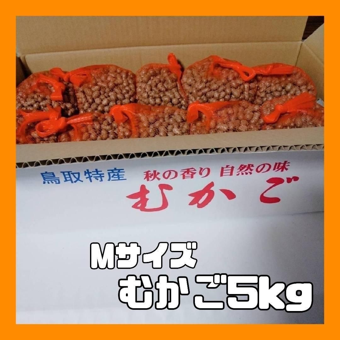 【鳥取県産】むかご 5kg（500g×10袋） Mサイズ 長芋 ねばりっこ