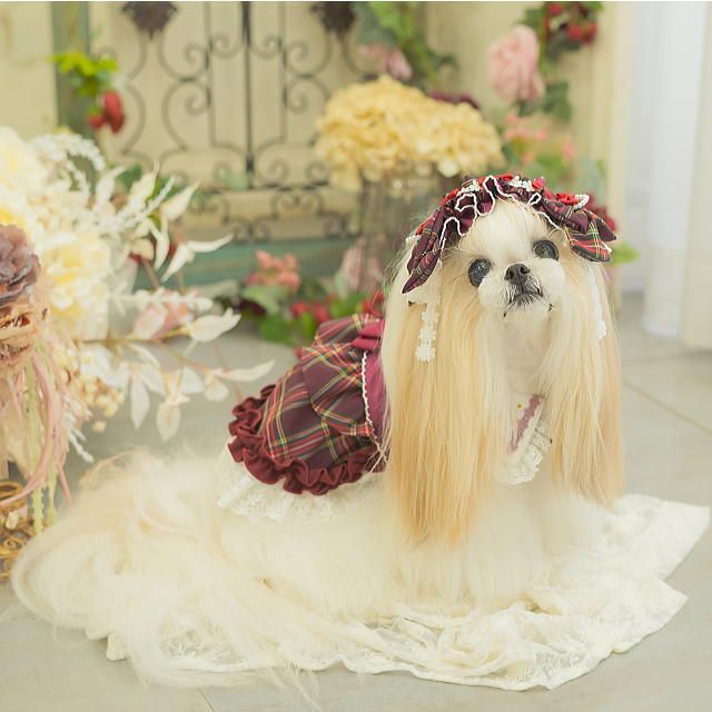 岩岡徹 COMFY チェックシャツ レッド