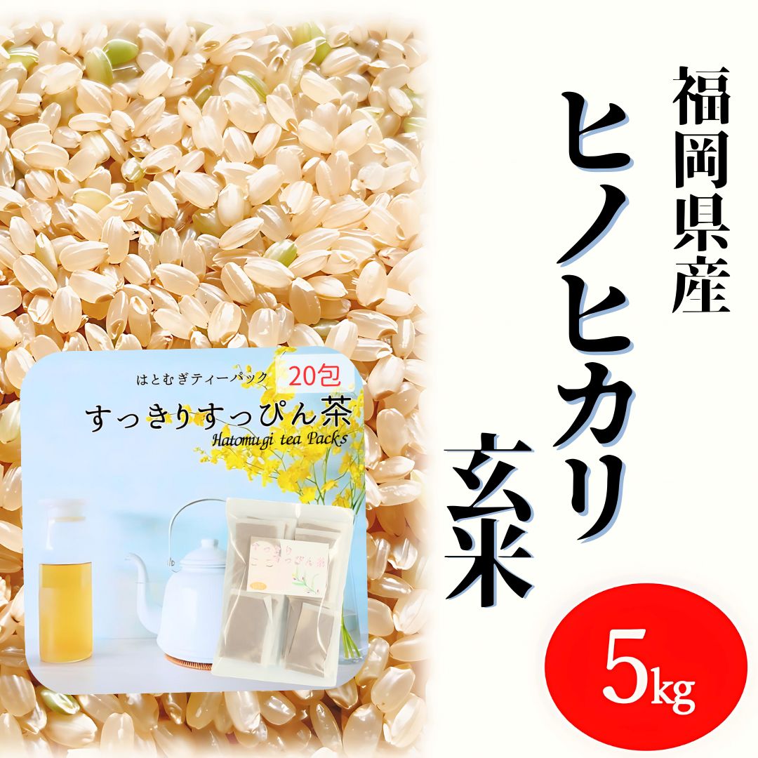 ポチ様 ヒノヒカリ 玄米 5kg×2袋 令和5年度産 農薬不使用無化学肥料 かけ干しヒノヒカリ 玄米5Kg