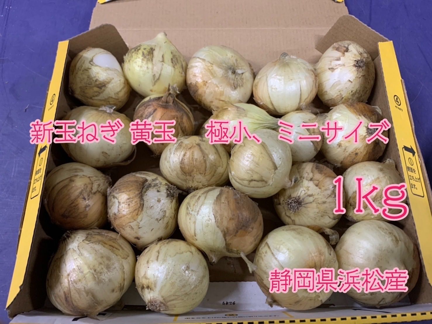 新玉ねぎ 極小ミニサイズ 静岡県浜松産 1kg - メルカリ