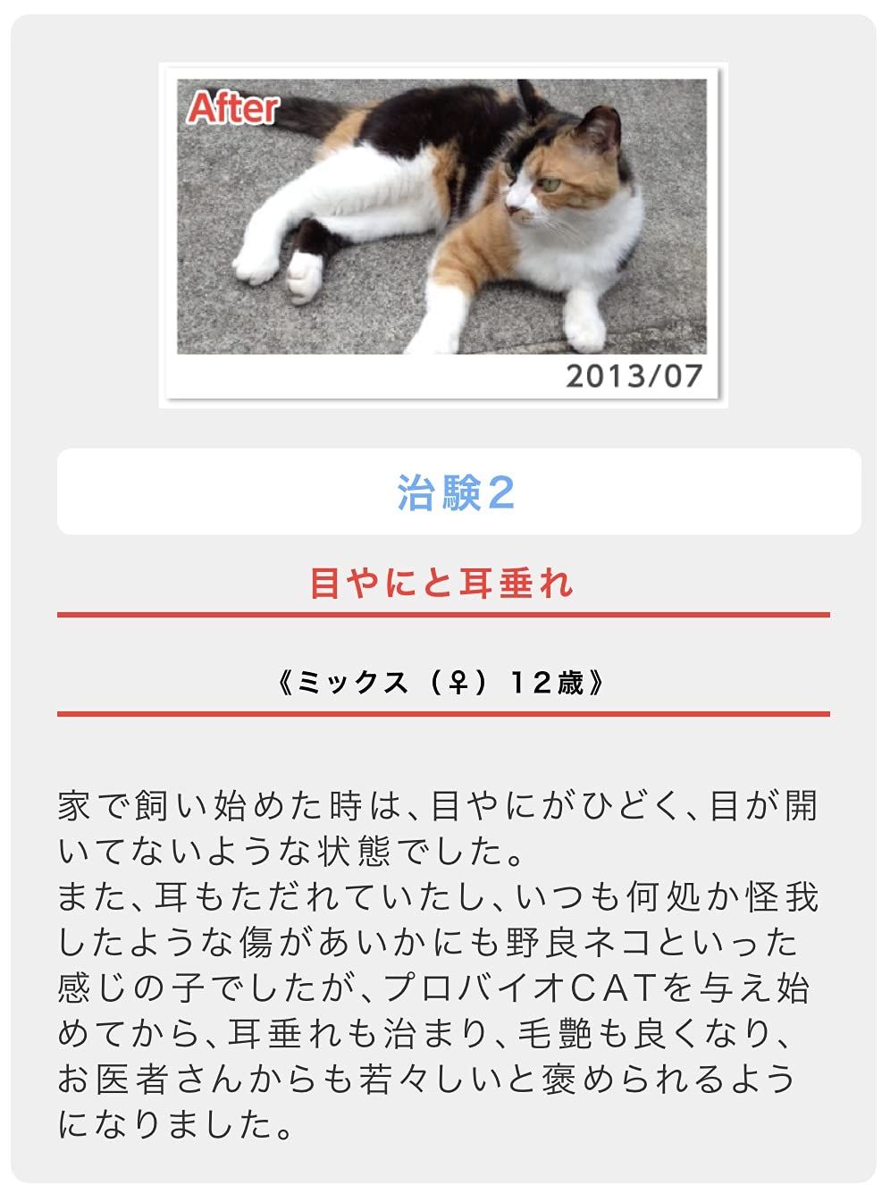 猫の目ヤニ、皮膚病、アレルギー、腎臓サポートに。プロバイオCAT かつお(粉末45g)約1か月~45日分 - メルカリ