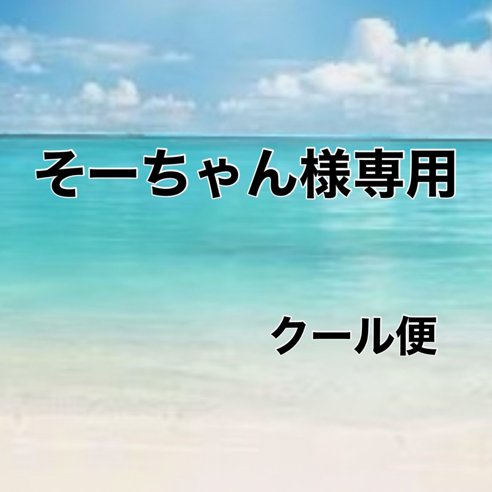 金曜日発送分】そーちゃん様専用ページ - メルカリ