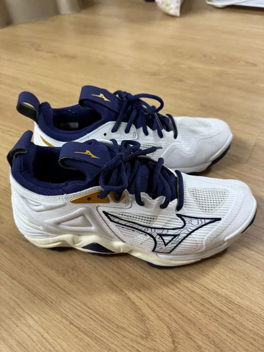 Mizuno（ミズノ） 波の勢い 3 240
