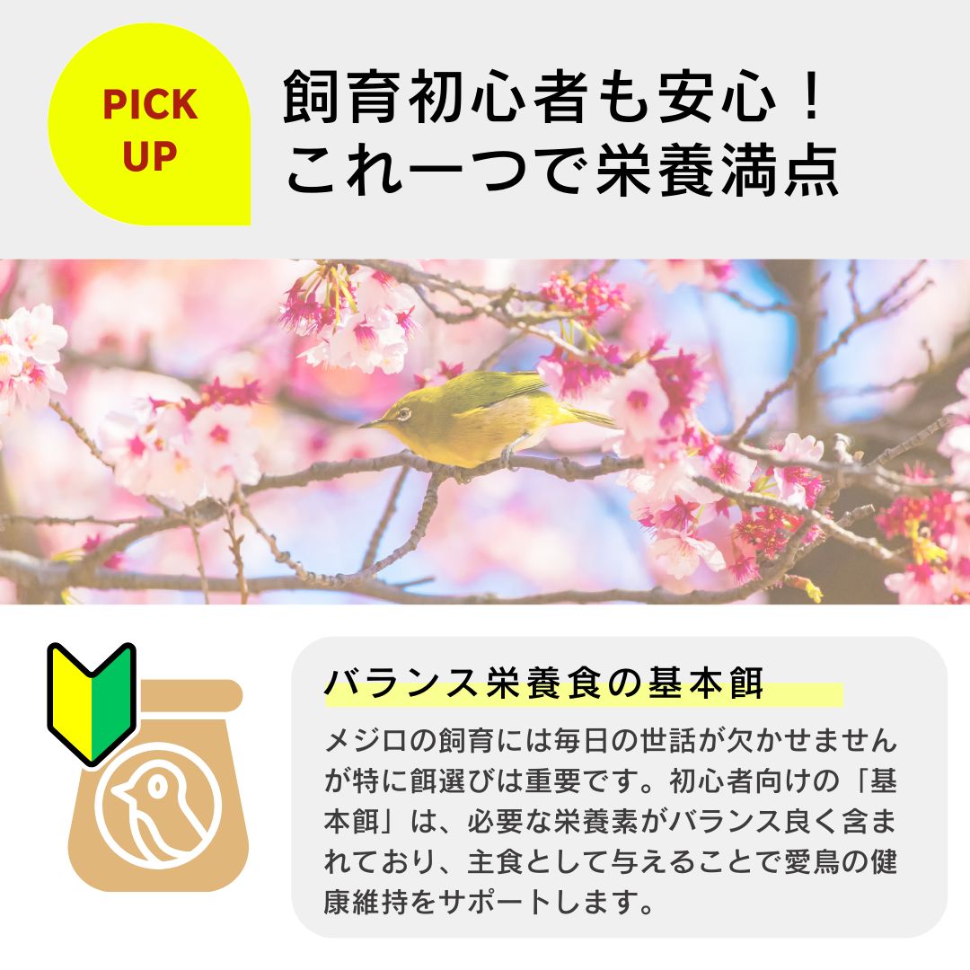 鳥の餌