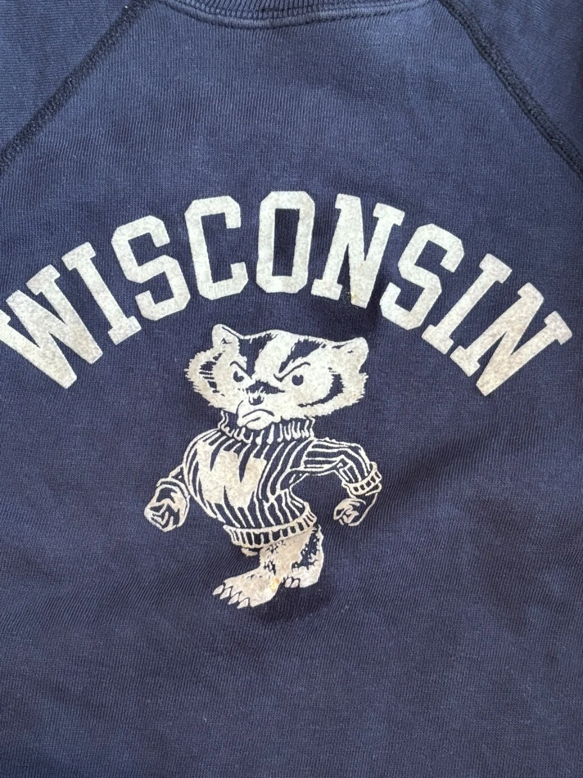 2025年最新】wisconsin バッキーの人気アイテム - メルカリ