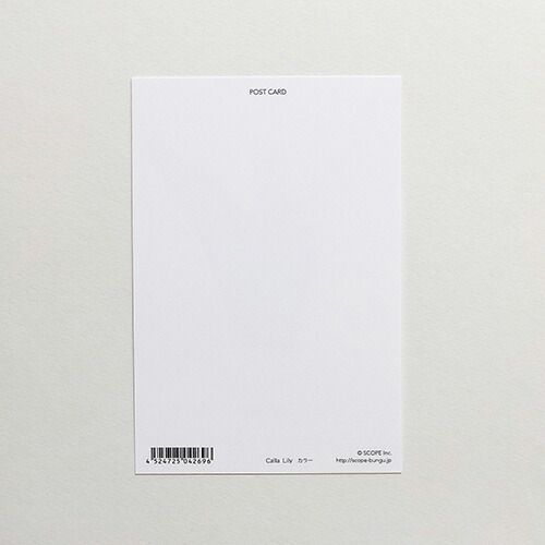 まとめ スコープ カード ポストカード Flower 04269 ×60セット