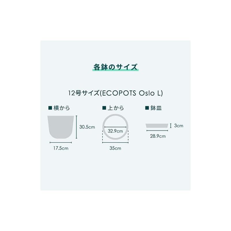 アンドプランツ